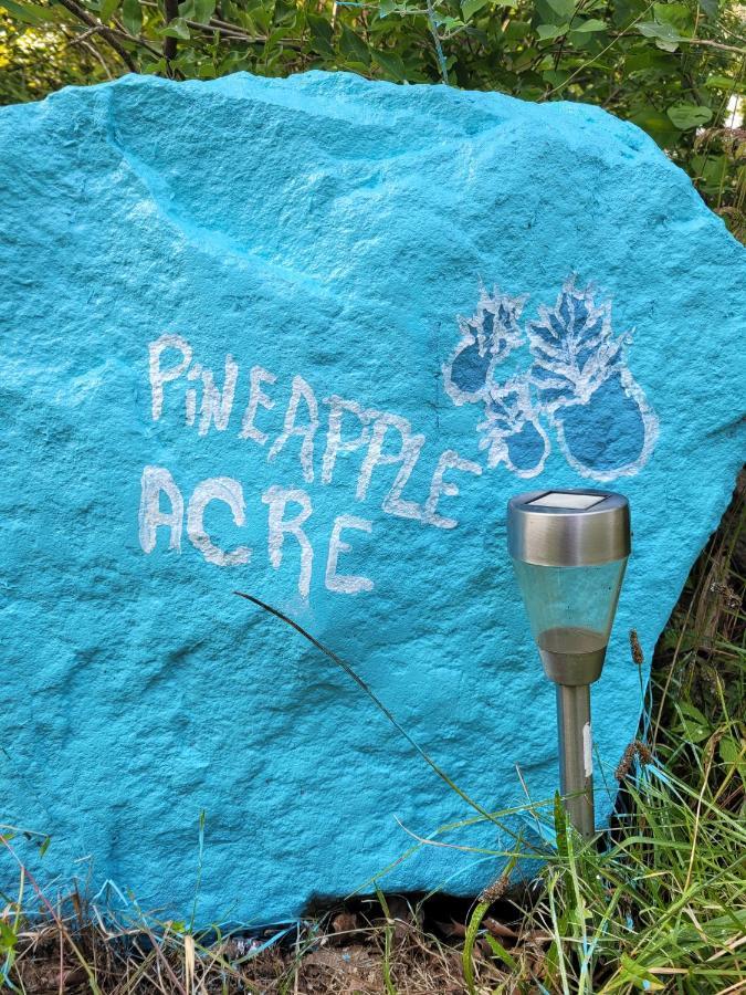 Сasa de vacaciones Experience The Serenity Of Pineapple Acre Pocono Stroudsburg