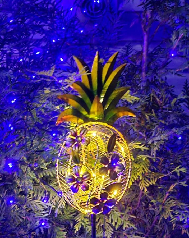 Experience The Serenity Of Pineapple Acre Pocono Stroudsburg