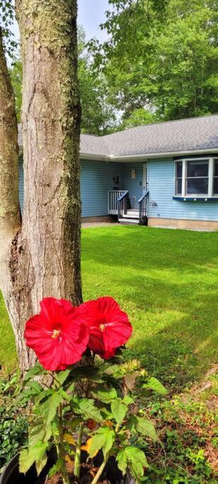 Experience The Serenity Of Pineapple Acre Pocono Сasa de vacaciones